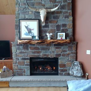 fireplace built into a manetl with a deer skull